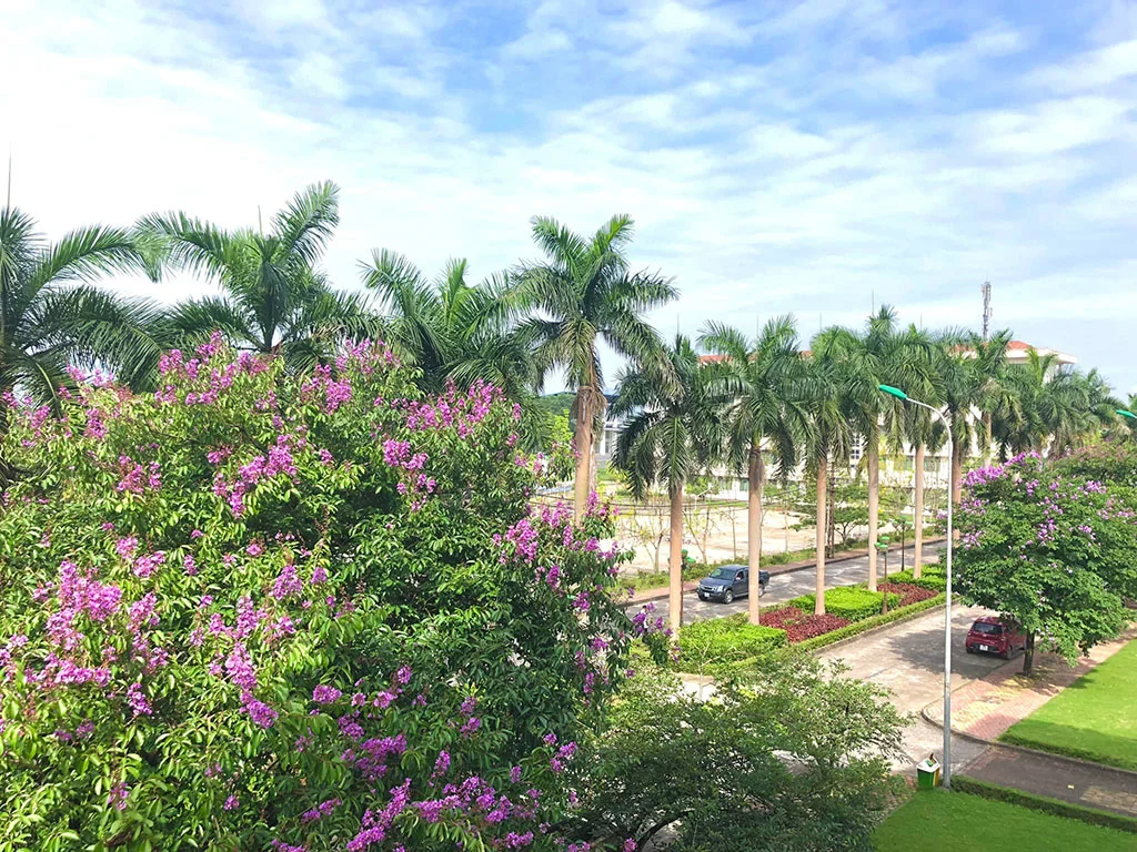 Tuyển dụng kỹ sư, nhân viên khối văn phòng Cty TNHH Canon Việt Nam năm 2022