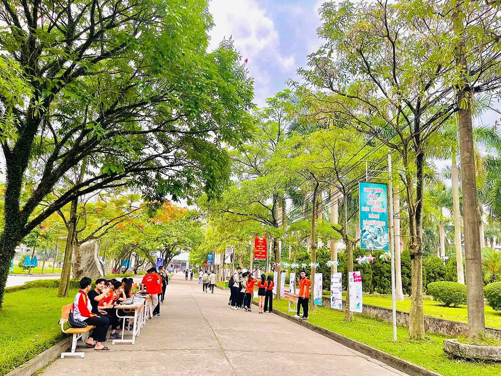 Thông báo ngưỡng điểm xét tuyển Đại học chính quy theo điểm thi tốt nghiệp THPT đợt 1 năm 2022