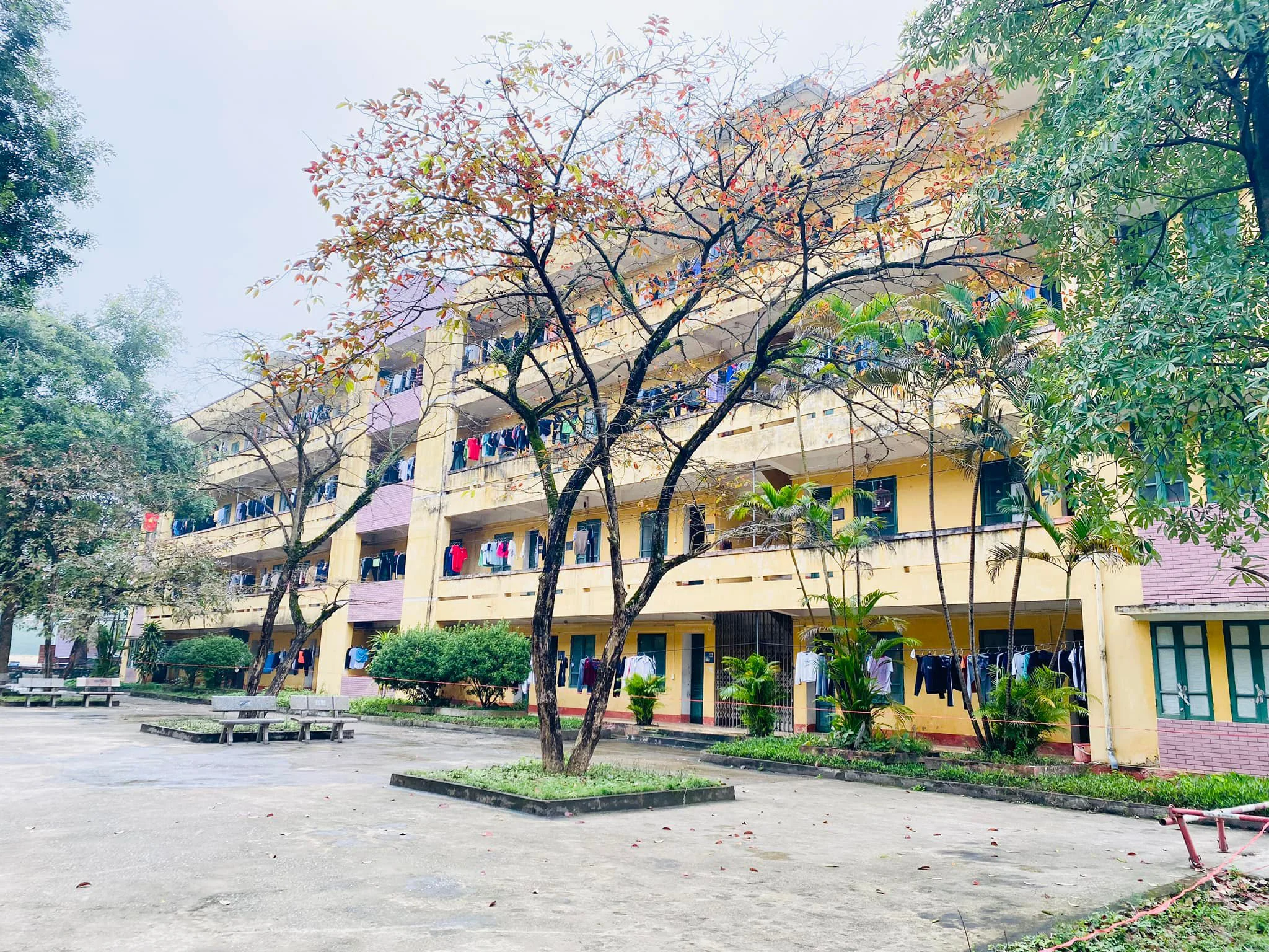 Quyết định về việc cho sinh viên chuyển ngành, chuyển khoa