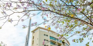 Thông báo điểm trúng tuyển đại học chính quy năm 2025 (đợt 1) vào Khoa Quốc tế, trường Đại học Kỹ thuật Công nghiệp